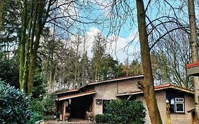 Forest Guesthouse